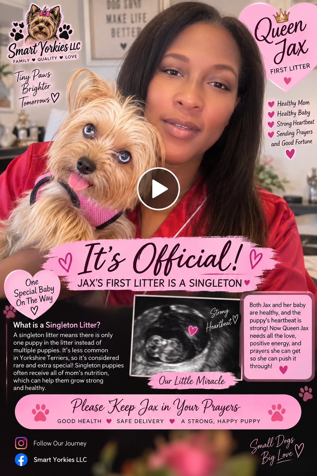 Jax singleton puppy announcement