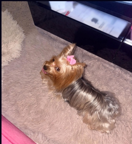 Josie